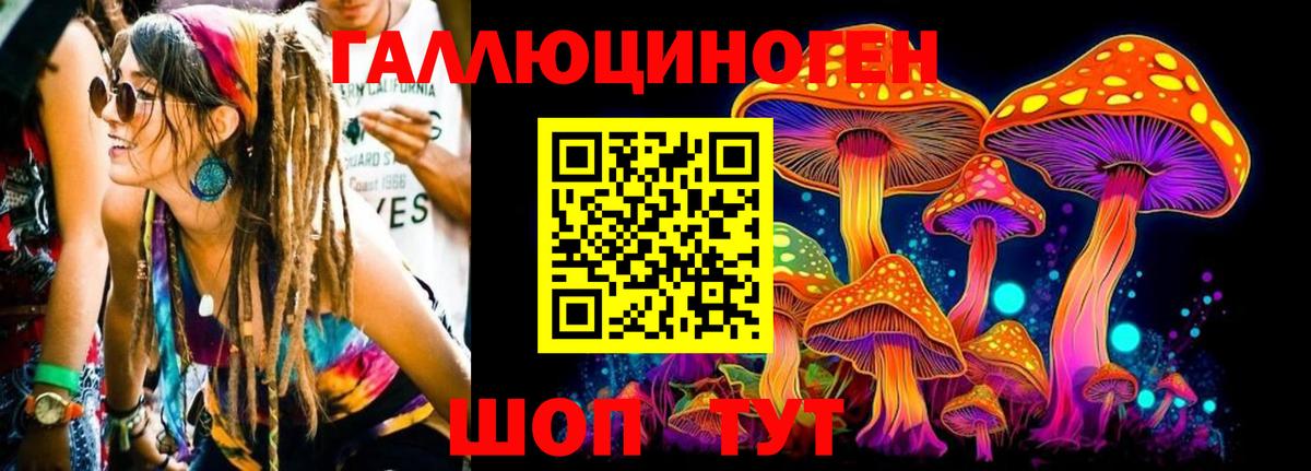 Псилоцибиновые грибы Psilocybe  Вход с VPN  Псилоцибиновые грибы мухоморы  Советский 